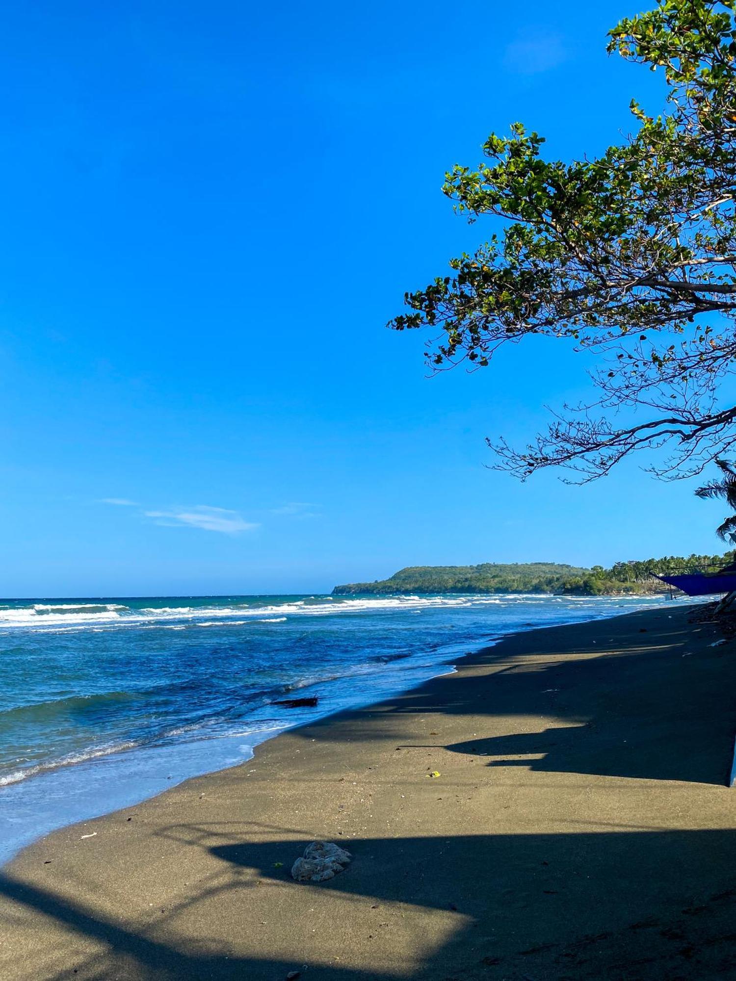 The Bangka Beach Guesthouse ซีคีฮอร์ ภายนอก รูปภาพ